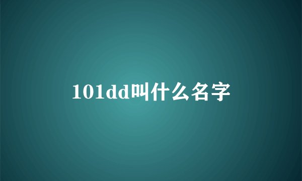 101dd叫什么名字