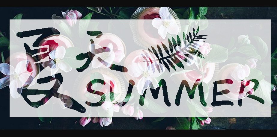 冷门又好看的字体有哪些？