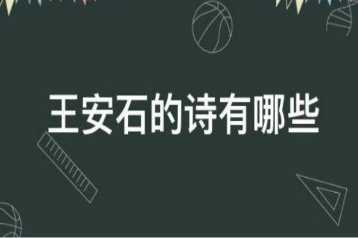 王安石都有哪些诗