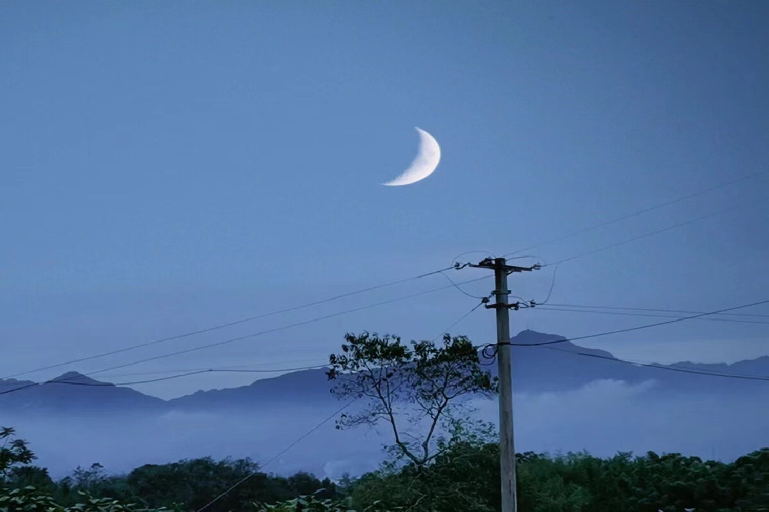 十五的月亮十五圆是哪年