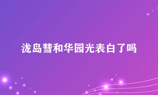 泷岛彗和华园光表白了吗