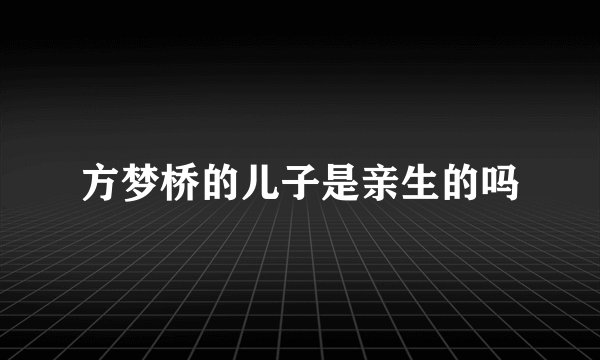 方梦桥的儿子是亲生的吗