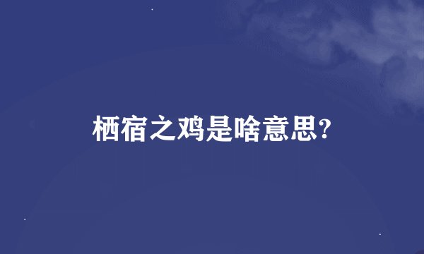 栖宿之鸡是啥意思?