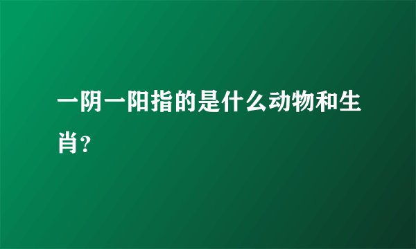 一阴一阳指的是什么动物和生肖？