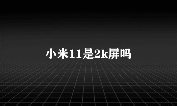 小米11是2k屏吗