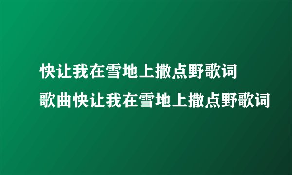 快让我在雪地上撒点野歌词 歌曲快让我在雪地上撒点野歌词
