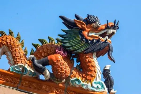 生擒活捉指一生肖