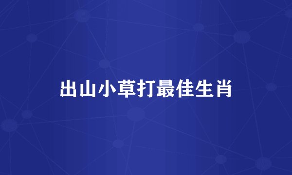 出山小草打最佳生肖