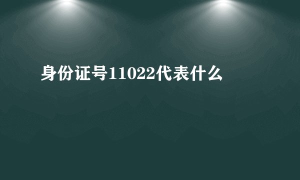 身份证号11022代表什么