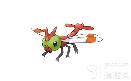 阳阳玛的基本资料