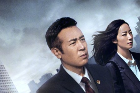 《巡回检查组》一共有多少集？