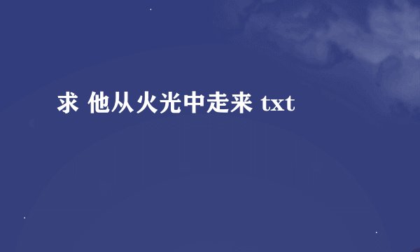 求 他从火光中走来 txt