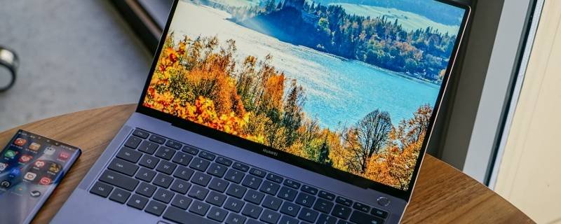 activex flash和ppapi flash有什么区别？