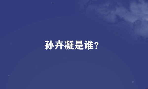 孙卉凝是谁？