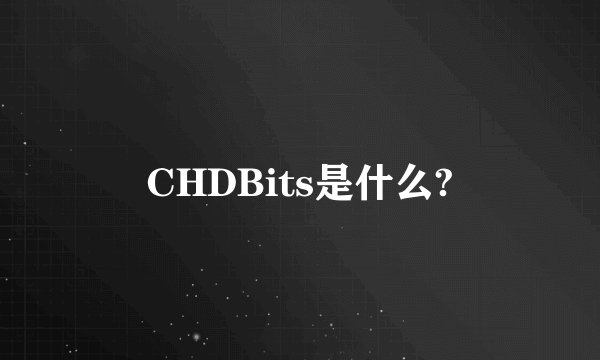 CHDBits是什么?