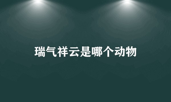 瑞气祥云是哪个动物