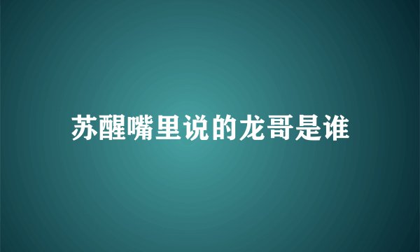 苏醒嘴里说的龙哥是谁