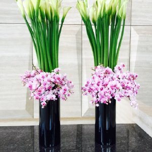 锁飞的人物事件