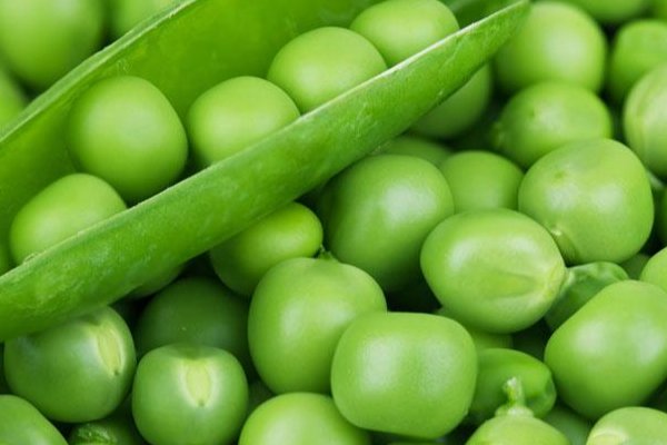 各种植物的传播种子方式