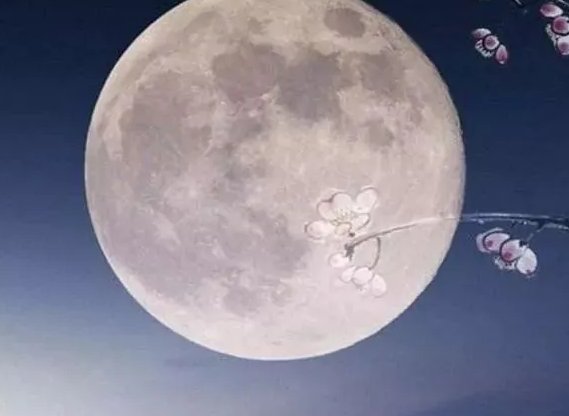 古诗《中秋》思乡