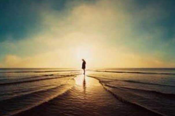 同游是什么意思