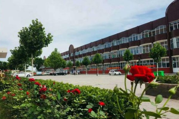 南和一中怎么了