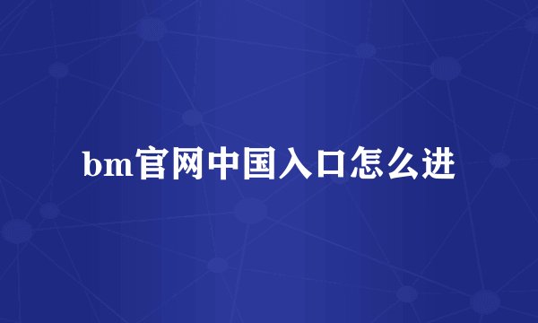 bm官网中国入口怎么进