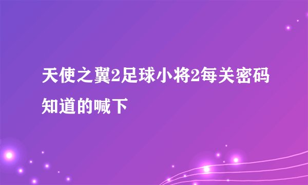 天使之翼2足球小将2每关密码知道的喊下