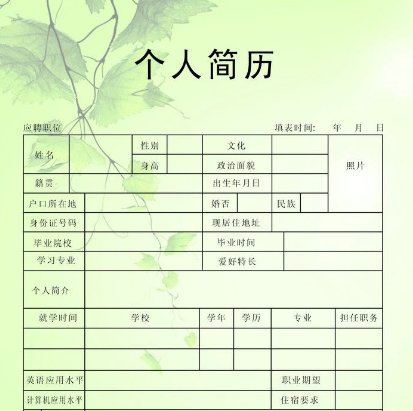 Personal resume是什么意思