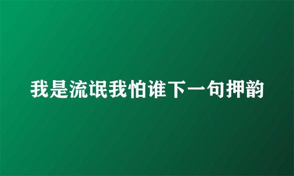 我是流氓我怕谁下一句押韵