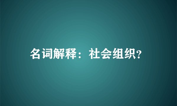 名词解释：社会组织？