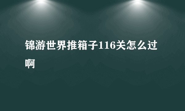 锦游世界推箱子116关怎么过啊