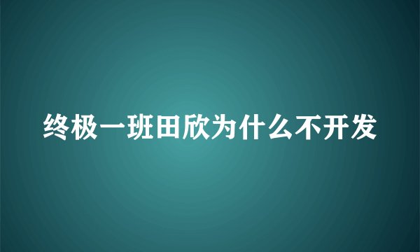 终极一班田欣为什么不开发