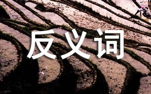 独特的反义词是什么