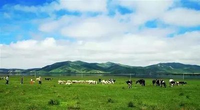 中国四大草原四的排名和省份分别是什么？