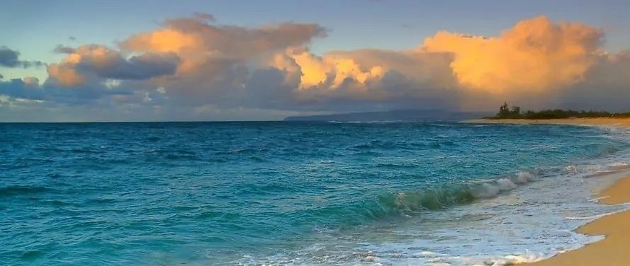 如何回复女朋友“你的良心不会痛吗”？