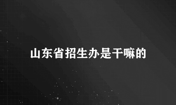 山东省招生办是干嘛的