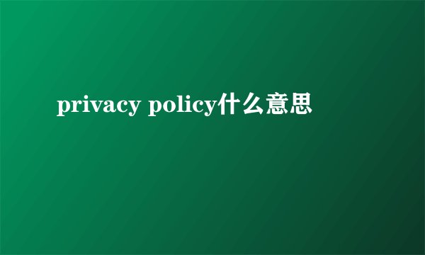 privacy policy什么意思