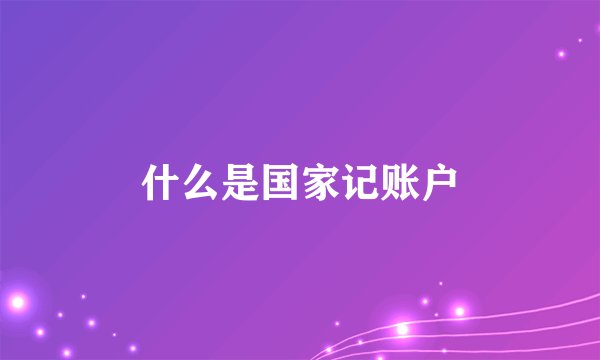 什么是国家记账户