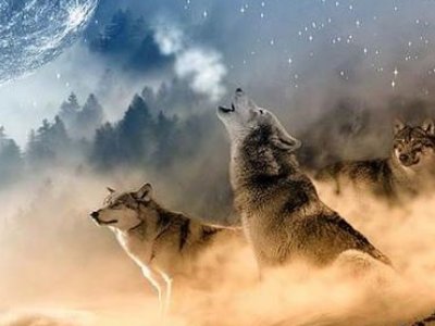 三人组合名称大全