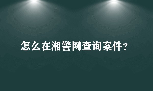 怎么在湘警网查询案件？