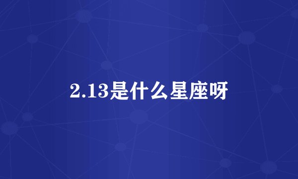 2.13是什么星座呀