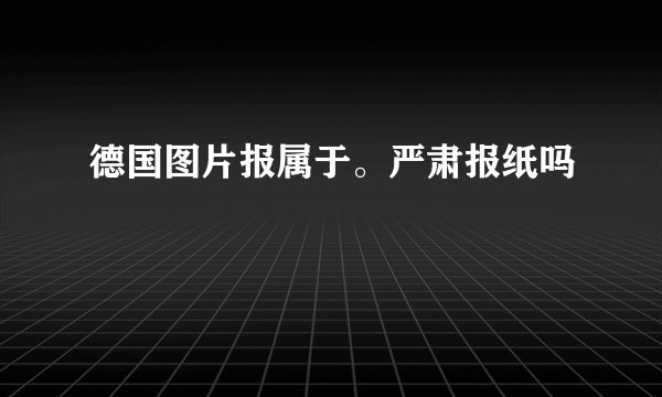 德国图片报属于。严肃报纸吗