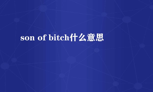 son of bitch什么意思