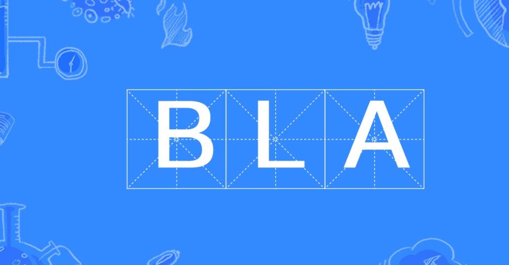 blabla是什么意思？