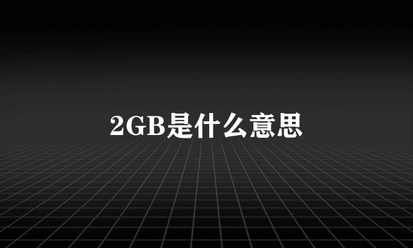 2GB是什么意思