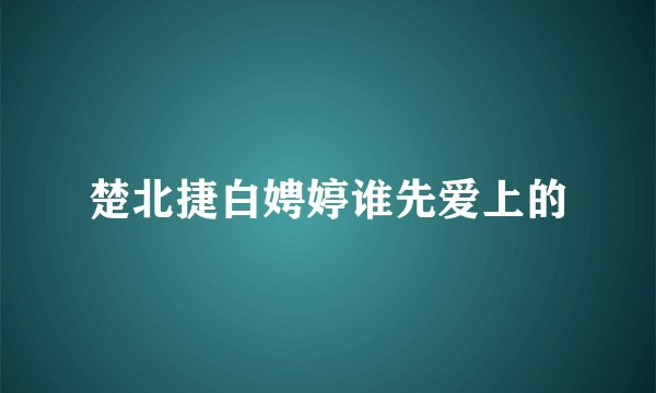 楚北捷白娉婷谁先爱上的