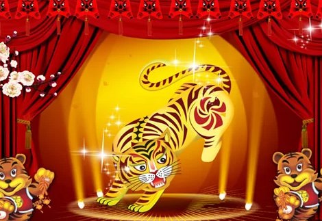 今年是什么属性的年