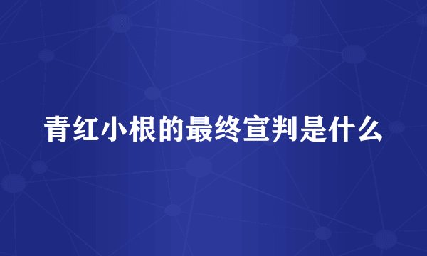 青红小根的最终宣判是什么