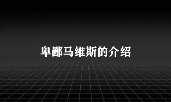 卑鄙马维斯的介绍